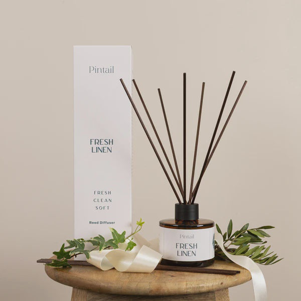 Diffuser Assorted - Pintail