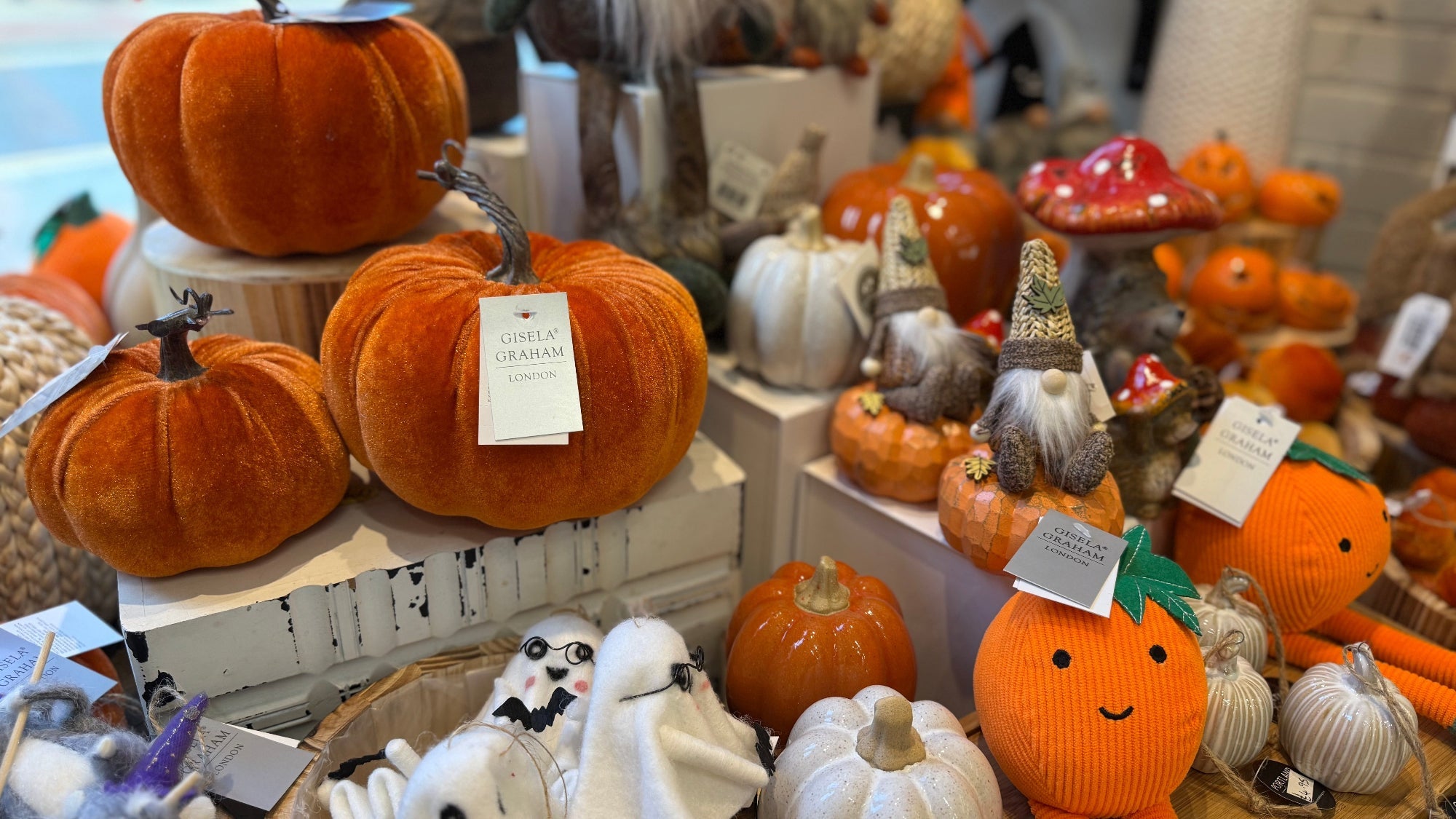NEW IN - SEASONAL