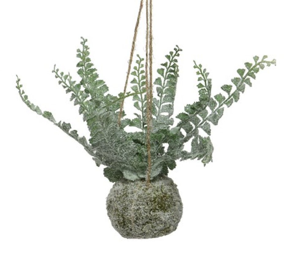 Faux Plant: Hanging Frosted Fern Moss Ball Curled Leaf - Green