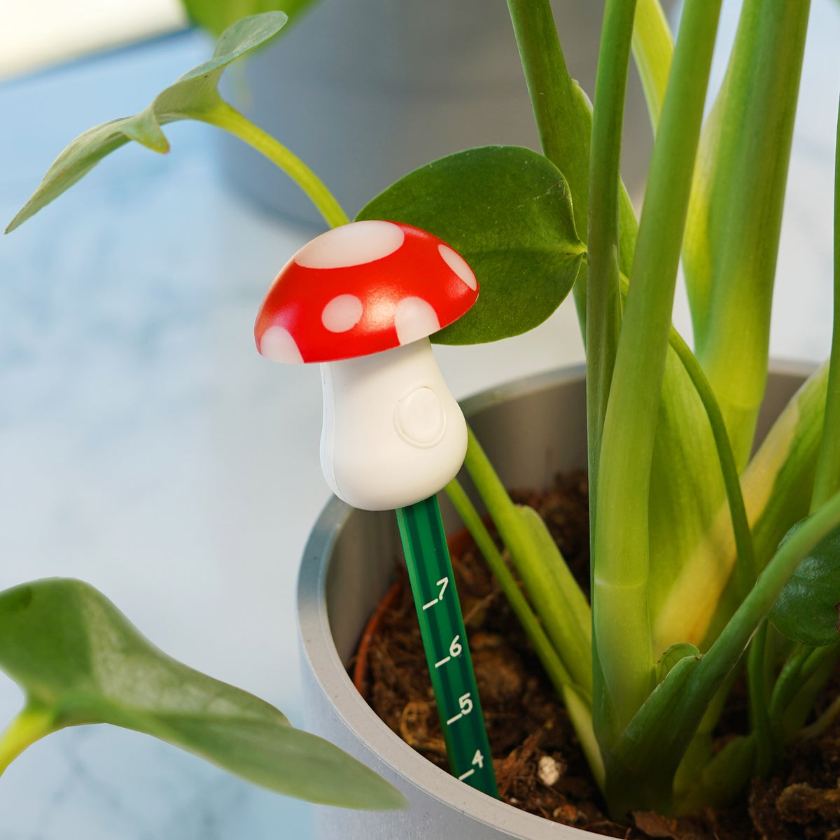 Houseplant Accessories: Mushroom Moisture Meter - Bubblegum Stuff