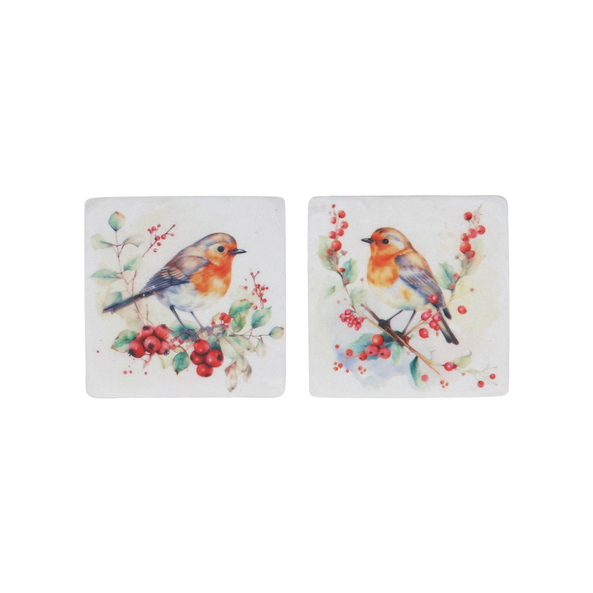 Christmas Coaster: Resin Square Robin w Berries  - Assorted Colours - Gisela Graham