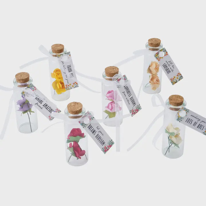 Token: Sentiment Flower Bottle  - Various - CGB Giftware