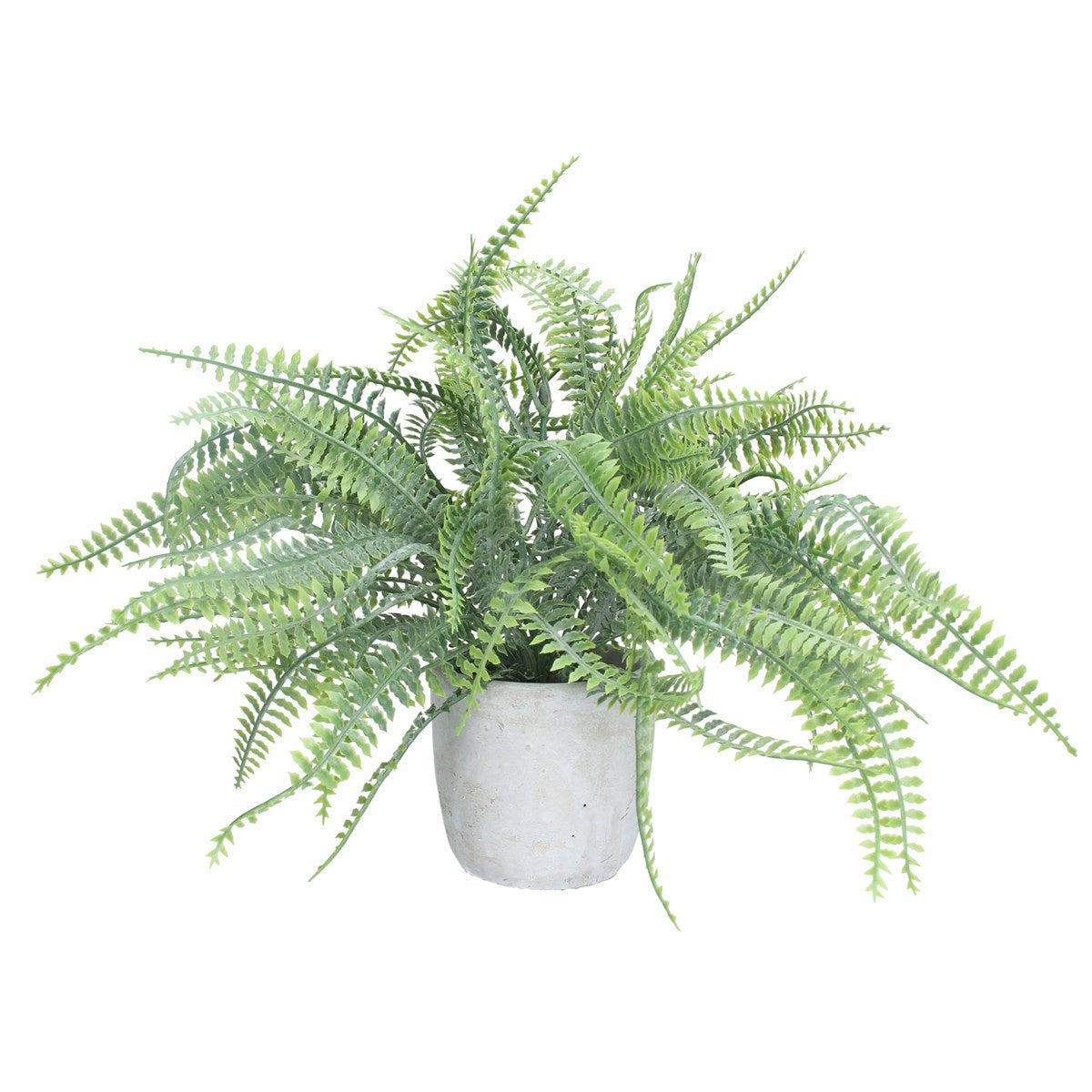 Faux Plant: Cement Grey Pot  Spider Fern     - Green - Gisela Graham