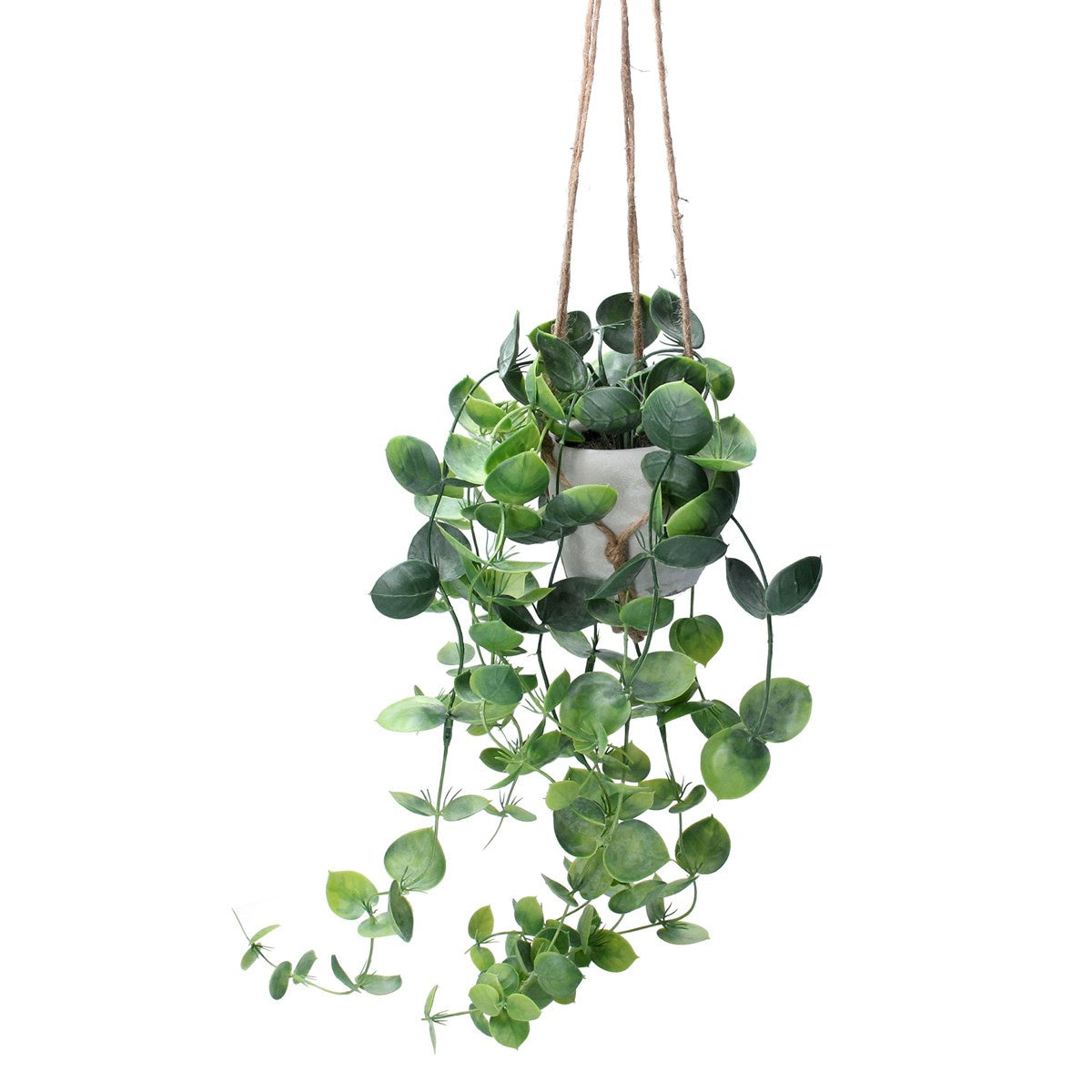 Faux Plant: Cement Grey Pot  Trailing Hoyas in Hanging    - Green - Gisela Graham