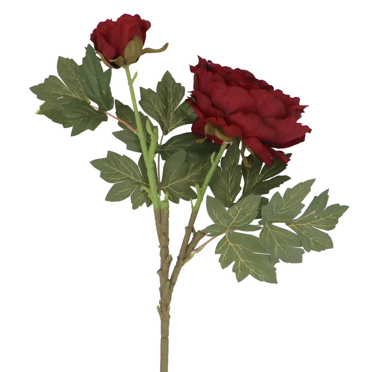 Flower Stem:  Peony w Bud  - Burgundy - Gisela Graham