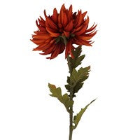 Flower Stem:  Chrysanthemum   - Orange - Gisela Graham