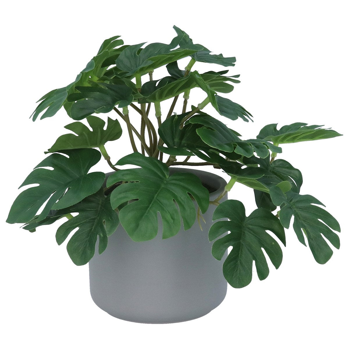 Faux Plant: Cement Grey Pot  Mini Swiss Cheese     - Green - Gisela Graham