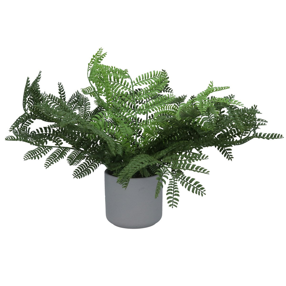 Faux Plant: Cement Grey Pot  Male Fern     - Green - Gisela Graham