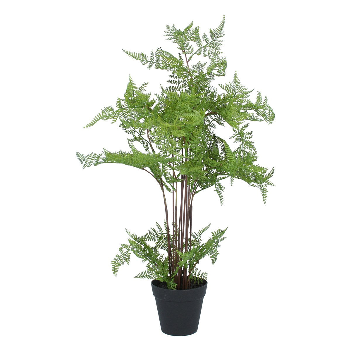 Faux Plant: Cement Grey Pot  Fern  Large    - Green - Gisela Graham