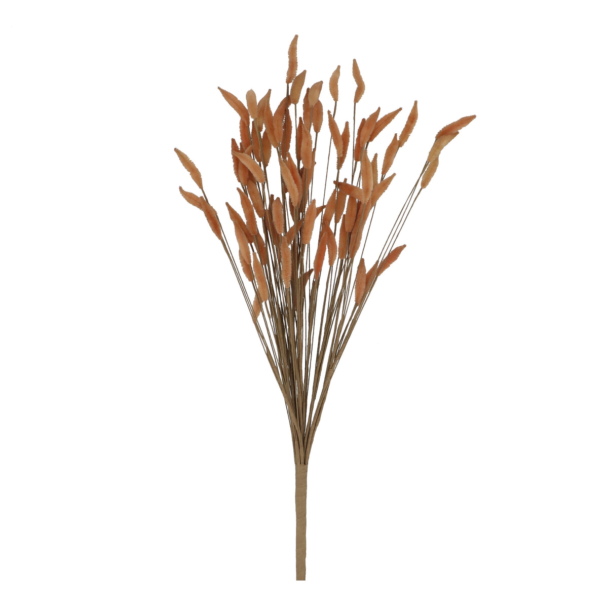 Grass Stem: Bunnytail Bunch - Amber - Gisela Graham