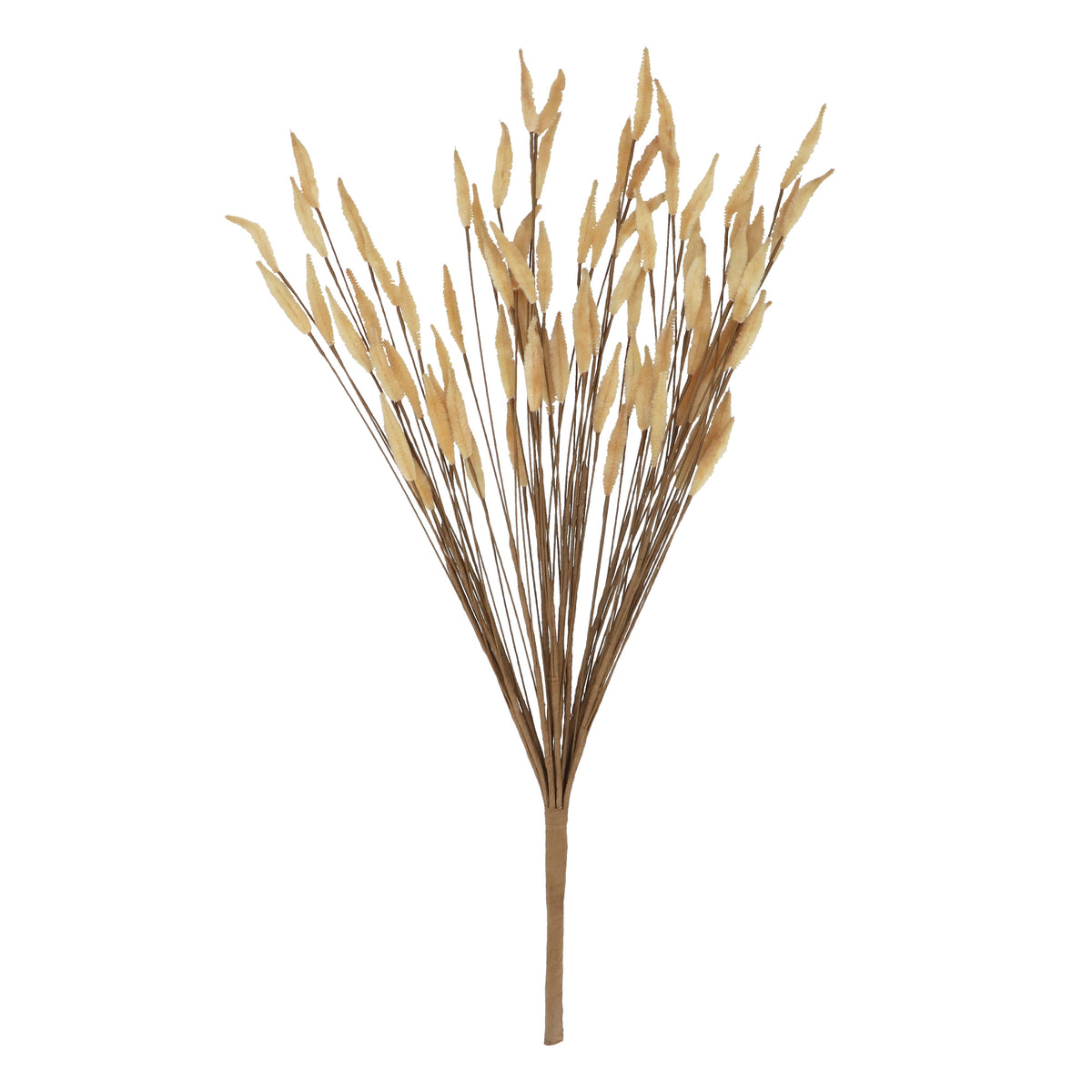 Grass Stem: Bunnytail Bunch - Natural - Gisela Graham