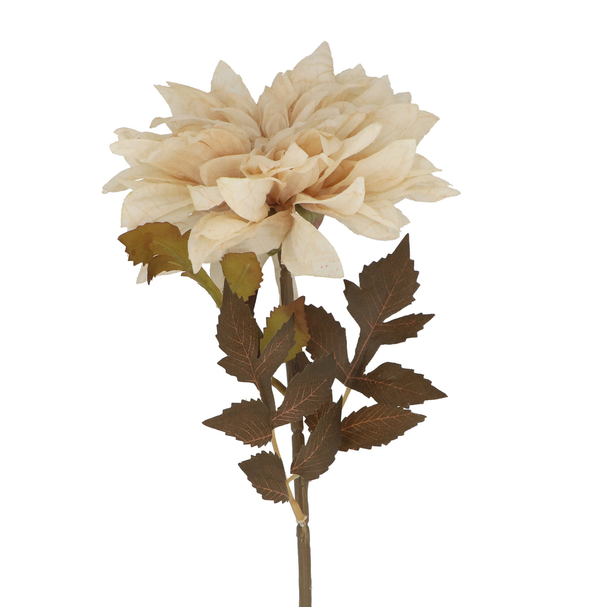 Flower Stem: Dahlia Paper Antique - Cream - Gisela Graham