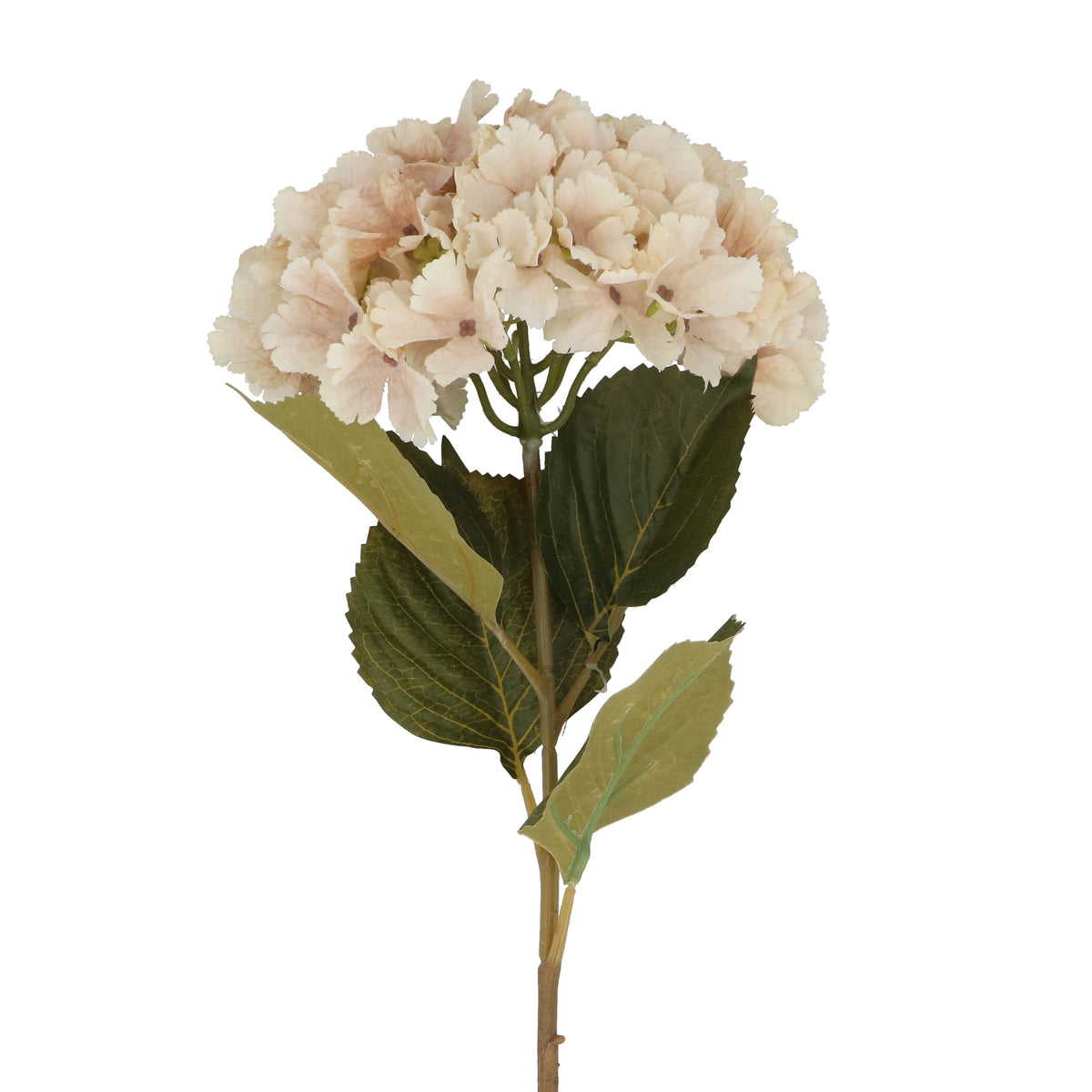 Flower Stem: Hydrangea Paper Antique - Cream - Gisela Graham