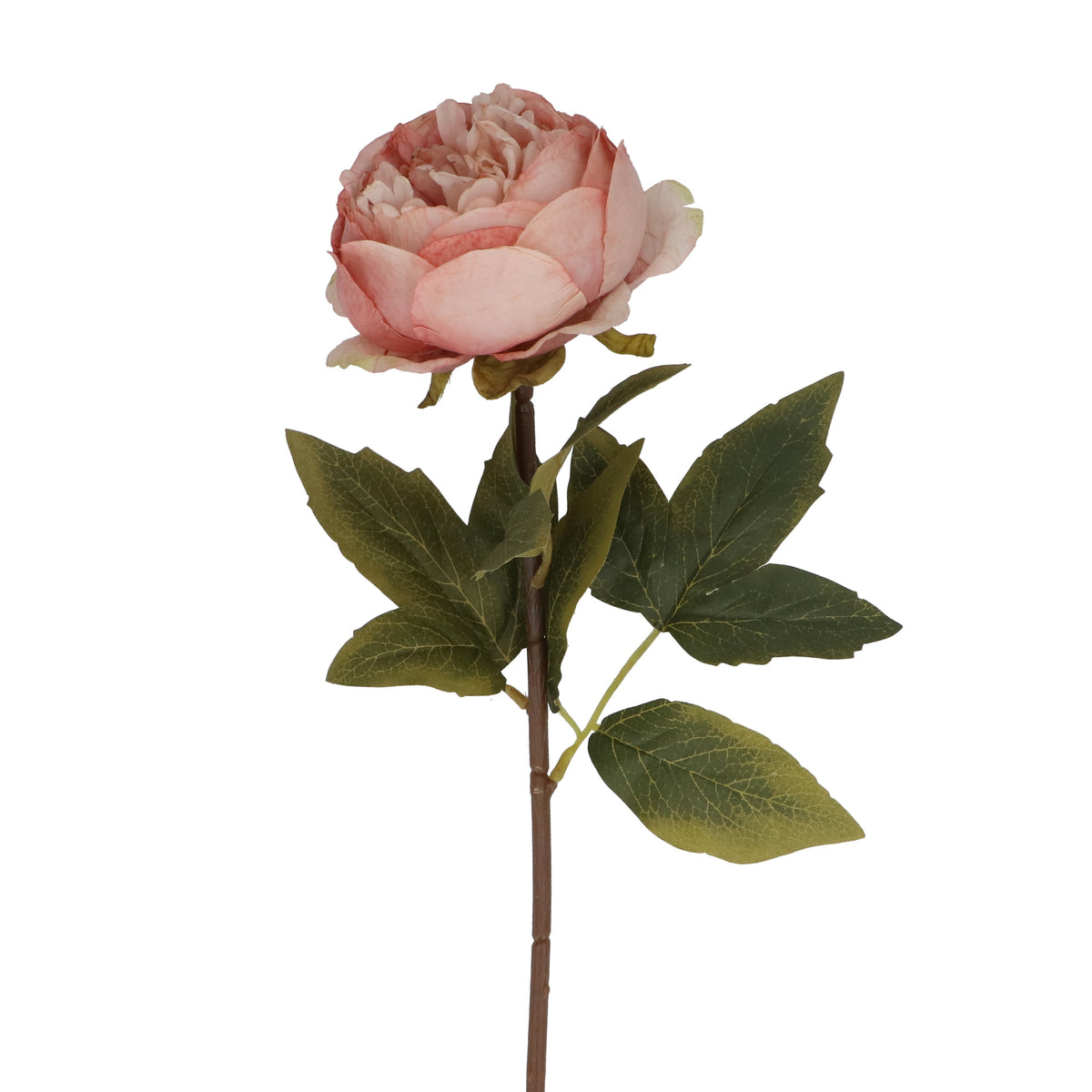 Flower Stem: Peony Paper Antique - Pink - Gisela Graham