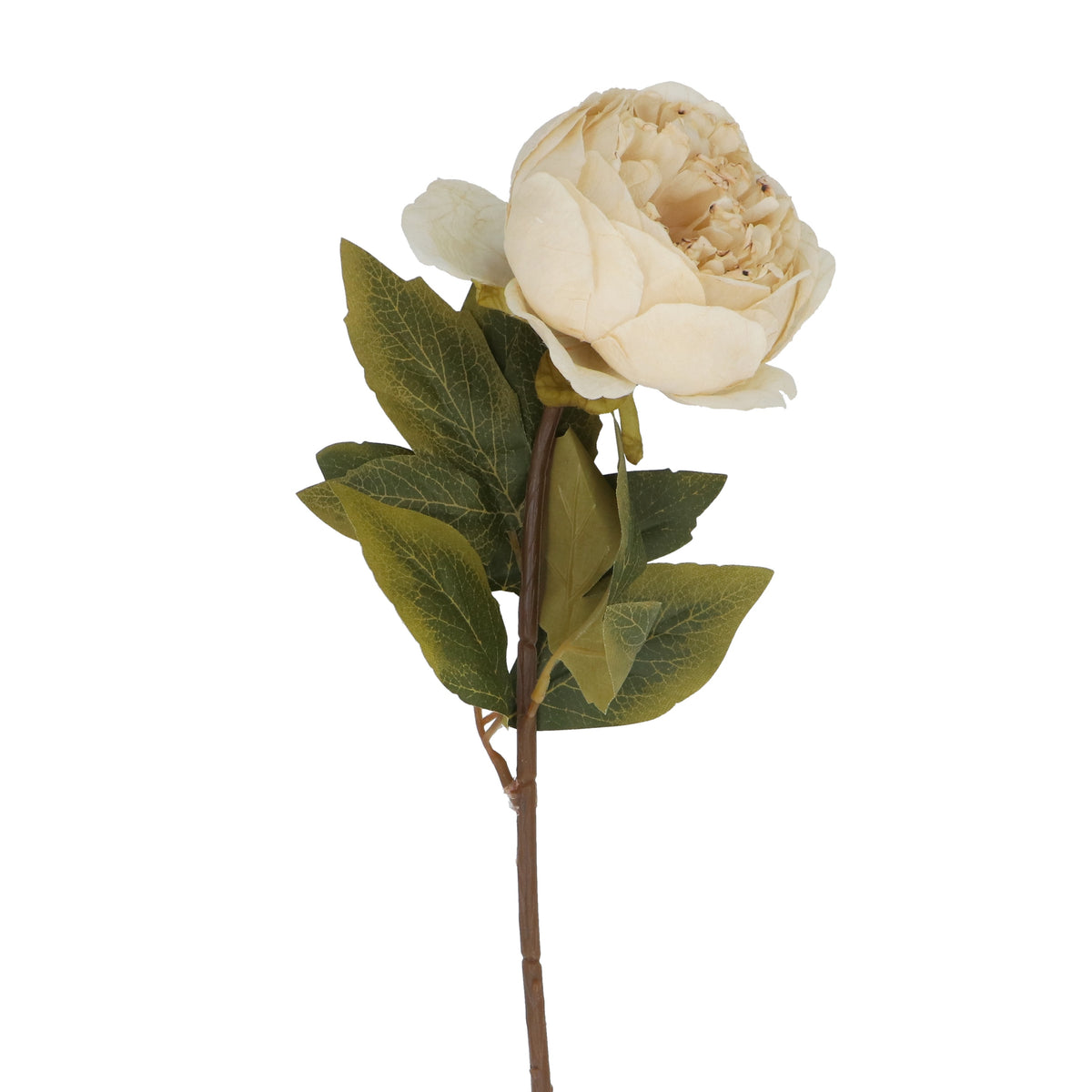 Flower Stem: Peony Paper Antique - Cream - Gisela Graham