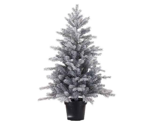 Christmas Tree: Fir Tree Frosted Grandis Small 75cm - Green