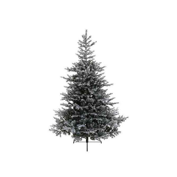 Christmas Tree: Snowy Grandis 4ft - Green