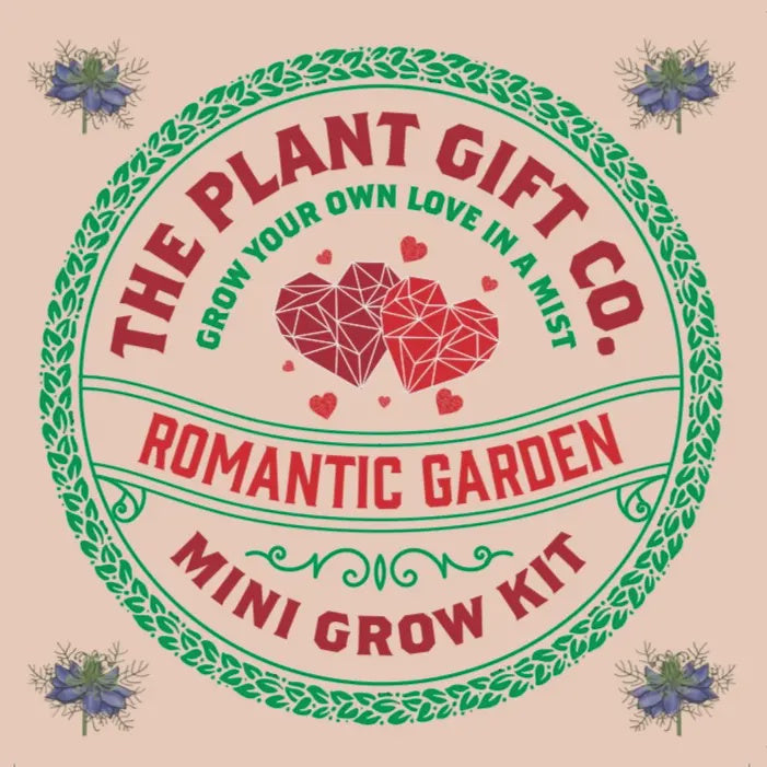 Plant Kit: Romantic Garden - Mini Grow Your Own - Love in the Mist - The Plant Gift Company