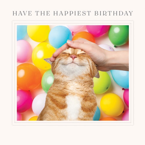 Birthday Card: Have The Happiest Birthday  Happy Go Lucky - Pigment