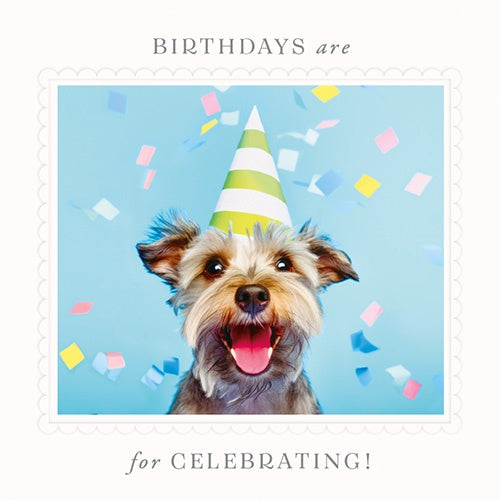 Birthday Card: Happiest Birthday Dog Happy Go Lucky - Pigment