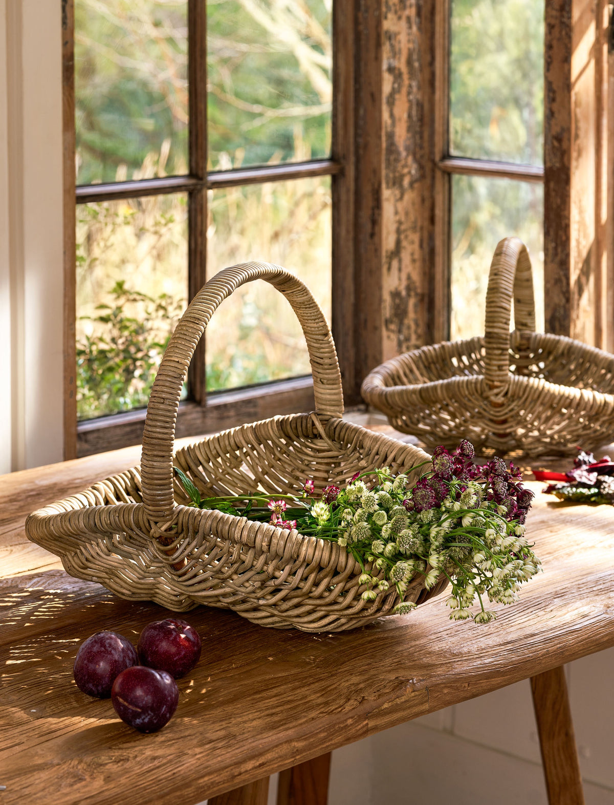 Trug Basket: Rattan Large Handle - Garden Trading