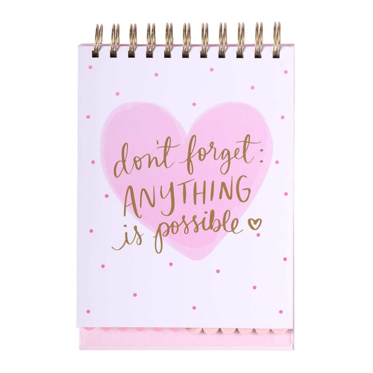 Notepad: Anything is Possible A5 Tab Divided - Pink & Gold - Eccolo