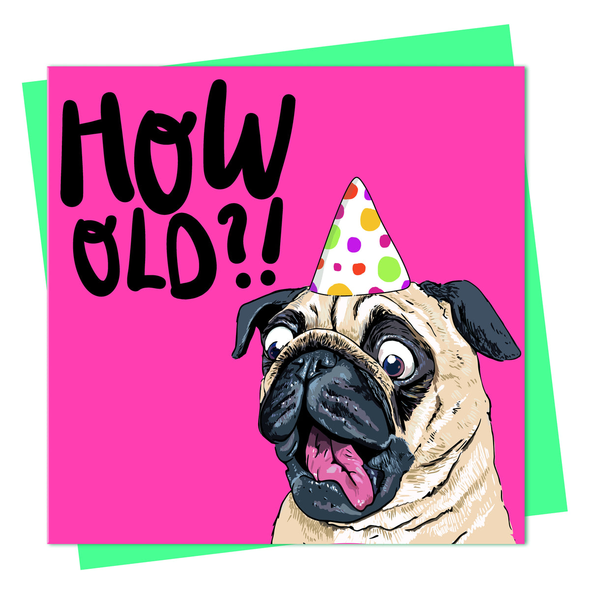 Birthday Card: Pug How Old - Lovely Paper Stuff