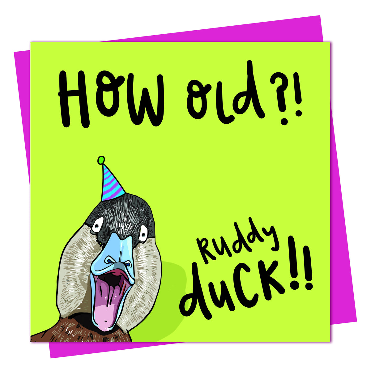 Birthday Card: Ruddy Duck -How Old?!  - Lovely Paper Stuff