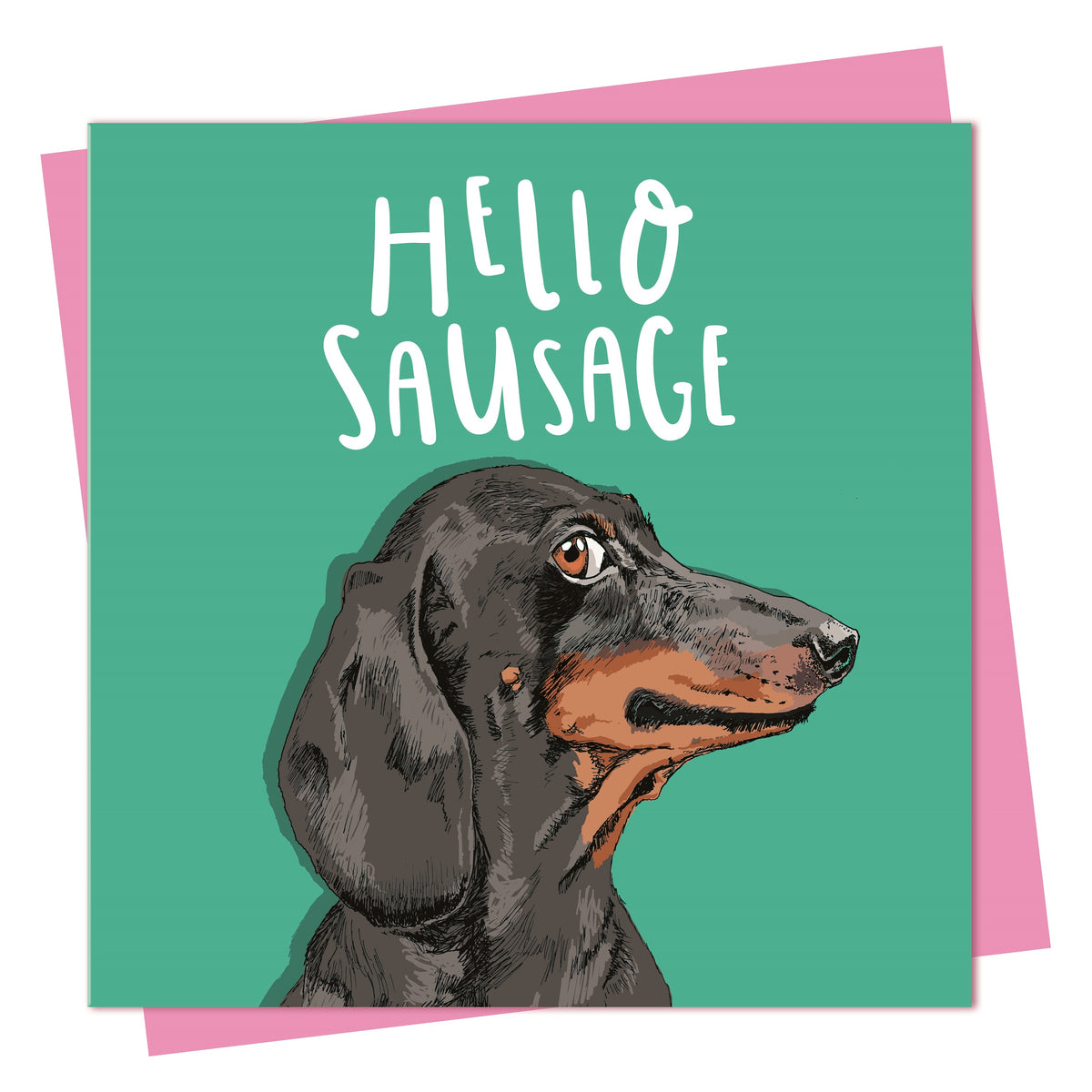 Birthday Card: Hello Sausage - Lovely Paper Stuff
