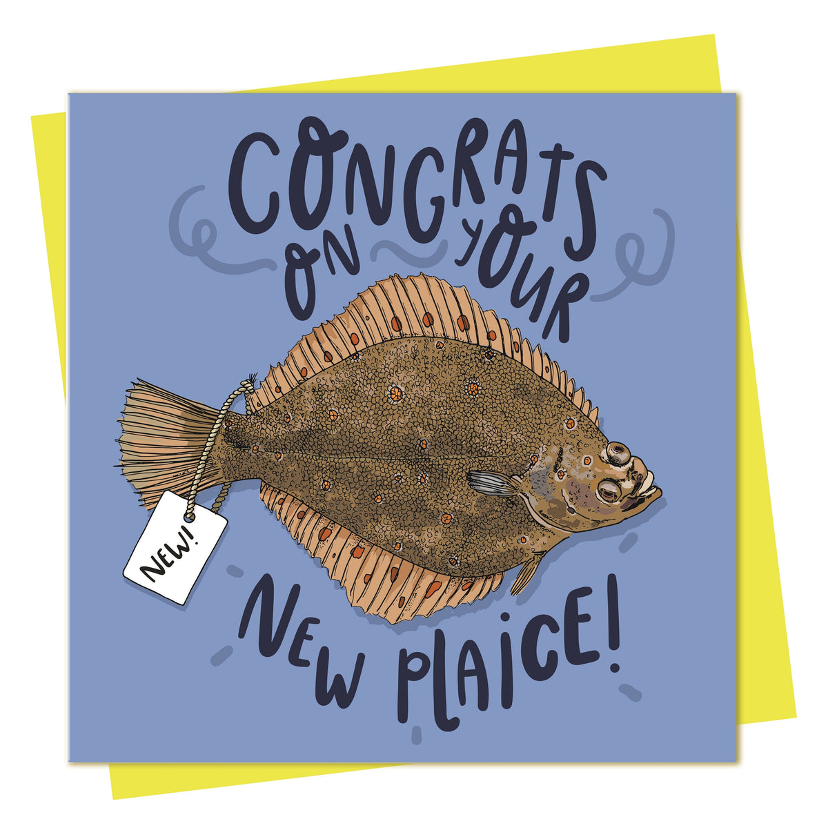 Birthday Card: Congrats On Your New Plaice - Lovely Paper Stuff