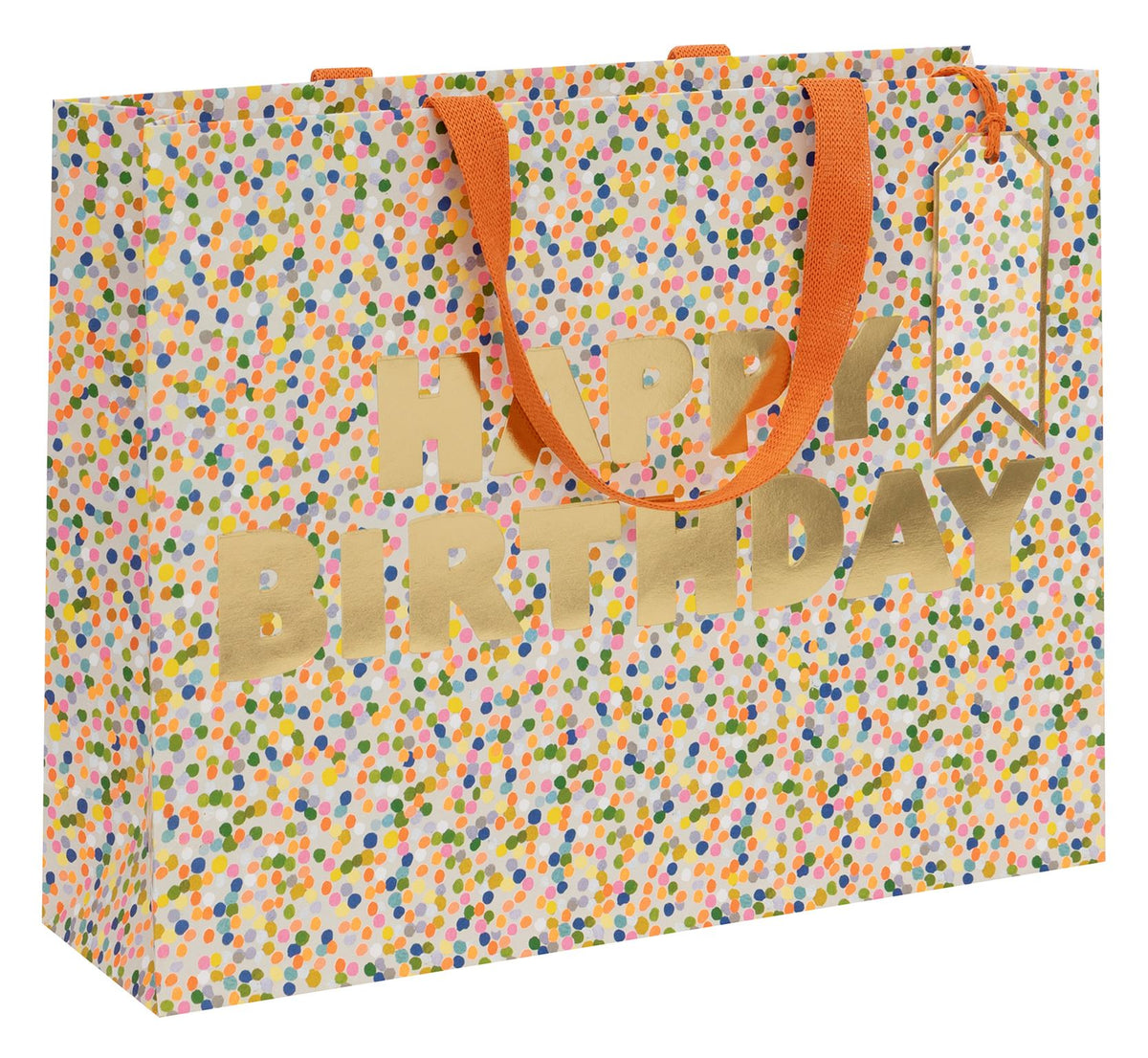 Gift Bag: Large Landscape Dotty Happy Birthday - Multi - Paper Salad