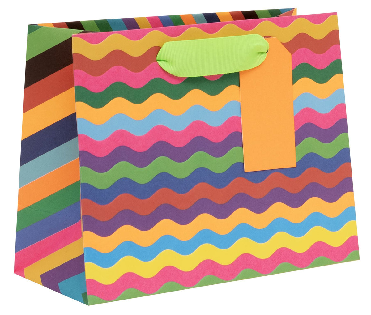 Gift Bag: Medium Landscape Mega Ric Rac - Multicolour - Paper Salad
