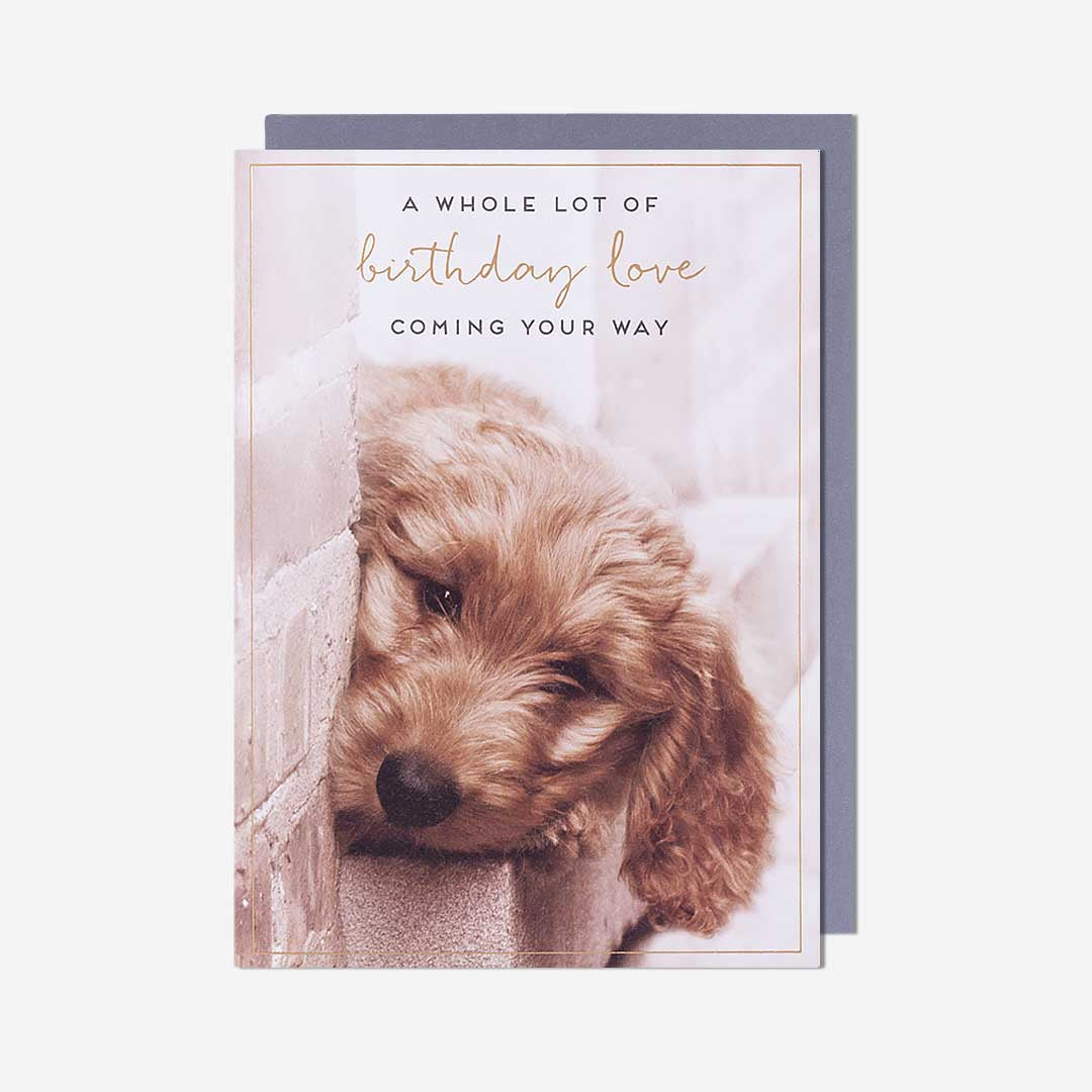 Birthday Card: Puppy Birthday Love   Love Unlimited - Pigment