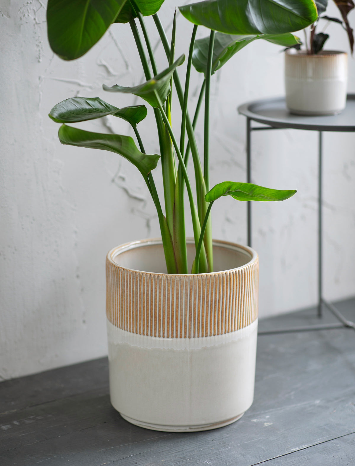 Planter: Ceramic Linear Pattern 28cm Pot - Natural - Garden Trading
