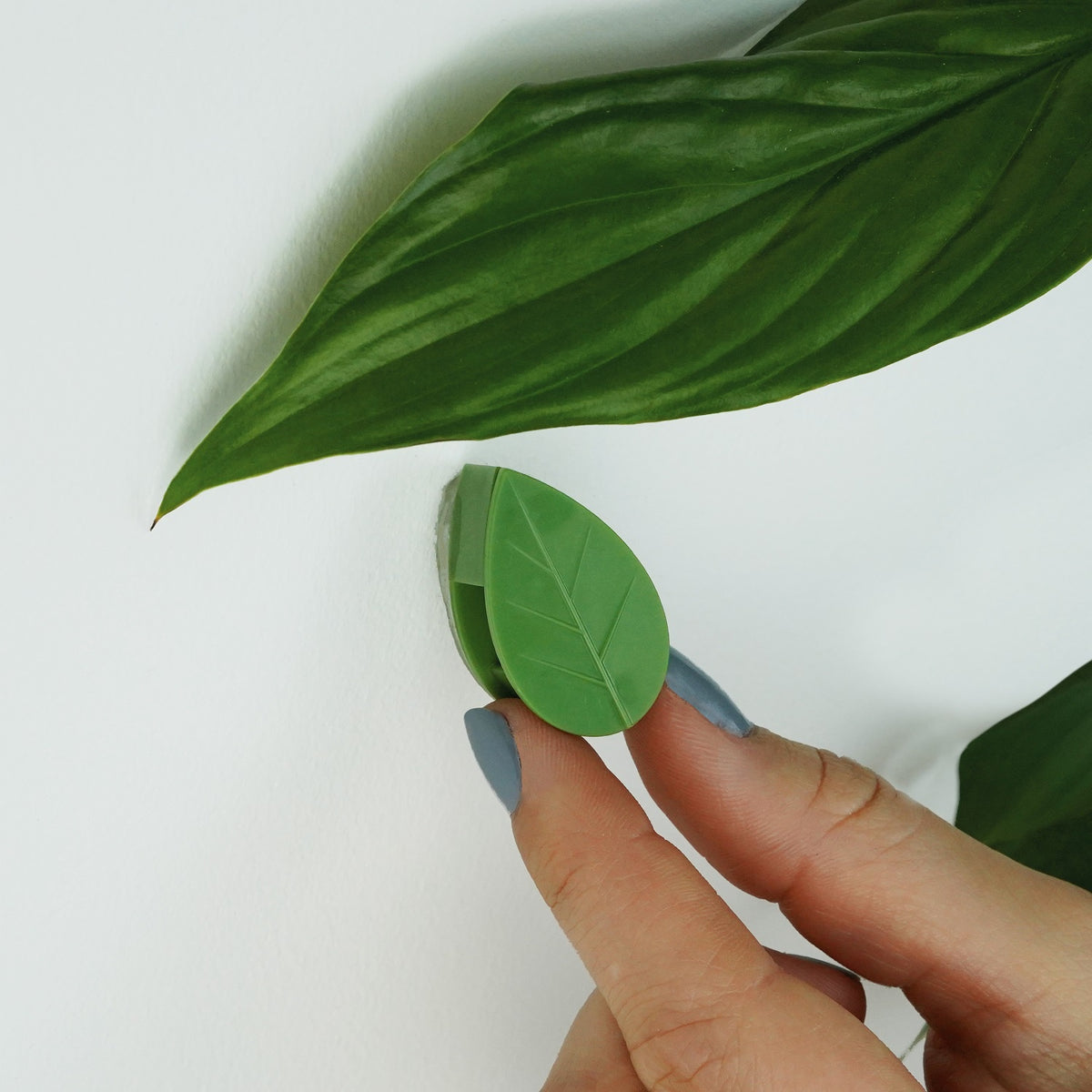 Houseplant Accessories: Houseplant Climbing Clips - Bubblegum Stuff