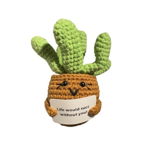 Positivity Crochet Gift: Small - Positive Succulent - The Happy Fruit and Veg Farm