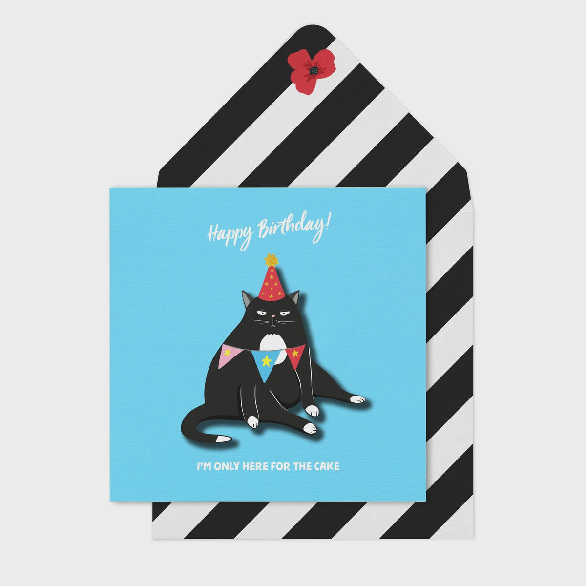 Birthday Card: 3D Grumpy Birthday Cat - Tache