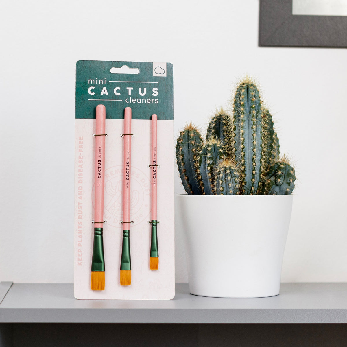 Houseplant Accessories: Mini Cactus Cleaners - Bubblegum Stuff
