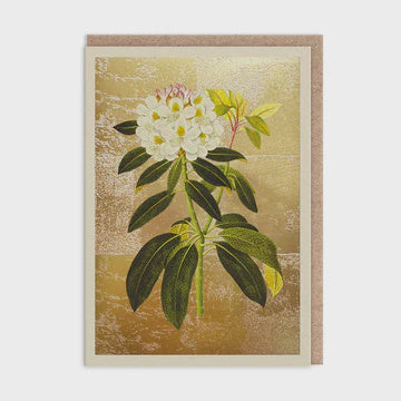 Blank  Card: Gold Foil  Rhododendron Ohh Deer - Ohh Deer