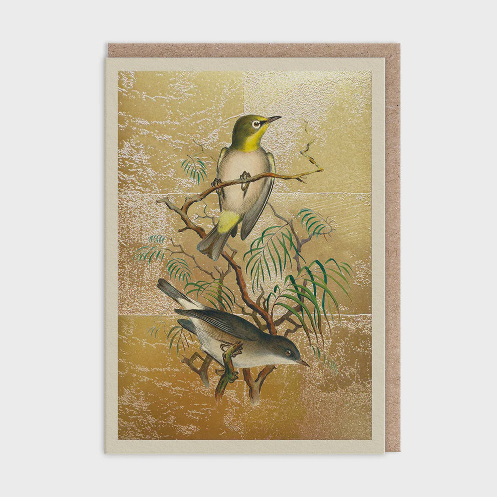 Blank Card: Gold Foil Heuglin's White-Eye Ohh Deer - Ohh Deer