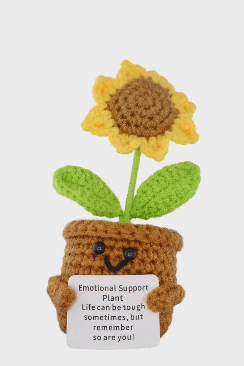 Positivity Crochet Gift: Small - Positive Plant - The Happy Fruit and Veg Farm
