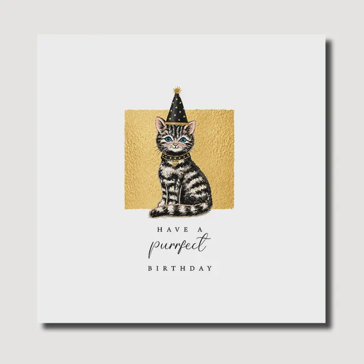 Birthday Card: Reflections Ted Cat - Marina B