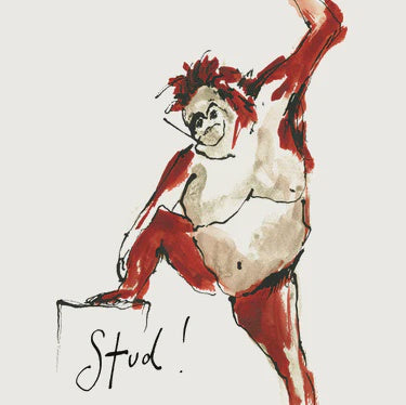 Male Card: Stud  - Multicolour - Anna Wright