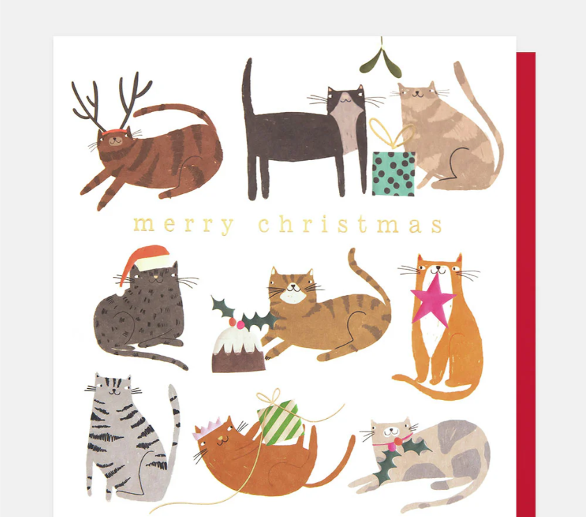 Christmas Card: Festive Cats - Caroline Gardner