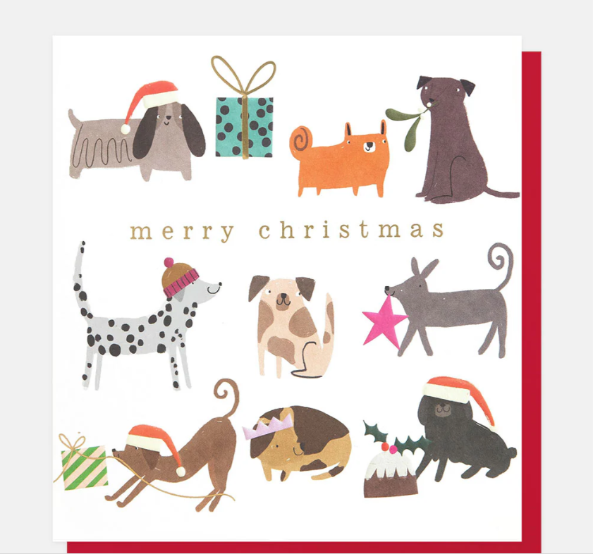 Christmas Card: Festive Dogs - Caroline Gardner