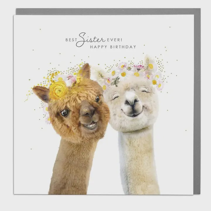 Sister Card: Brthday Alpacas - Lola Design