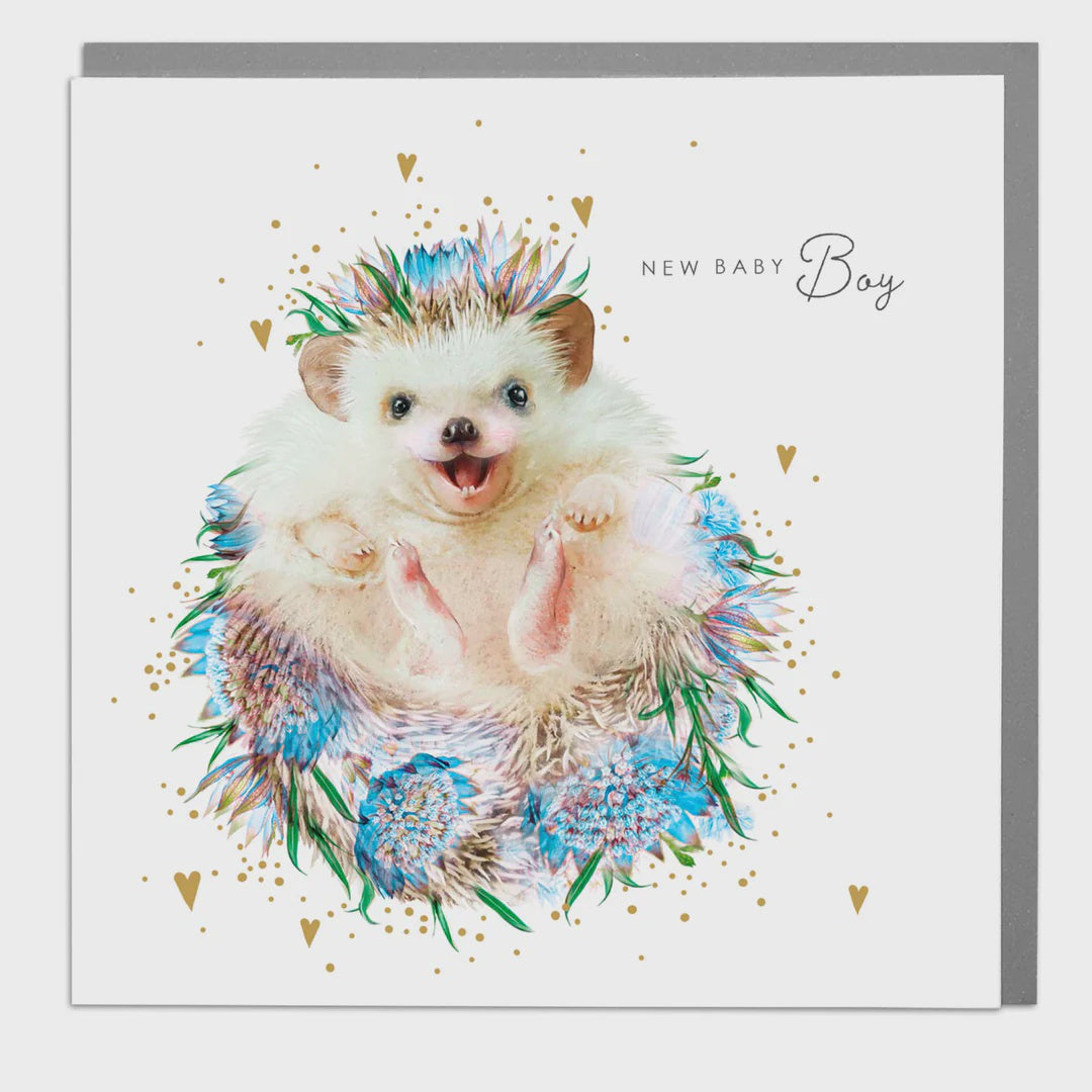 New Baby Card: Boy Hedgehog - Lola Design