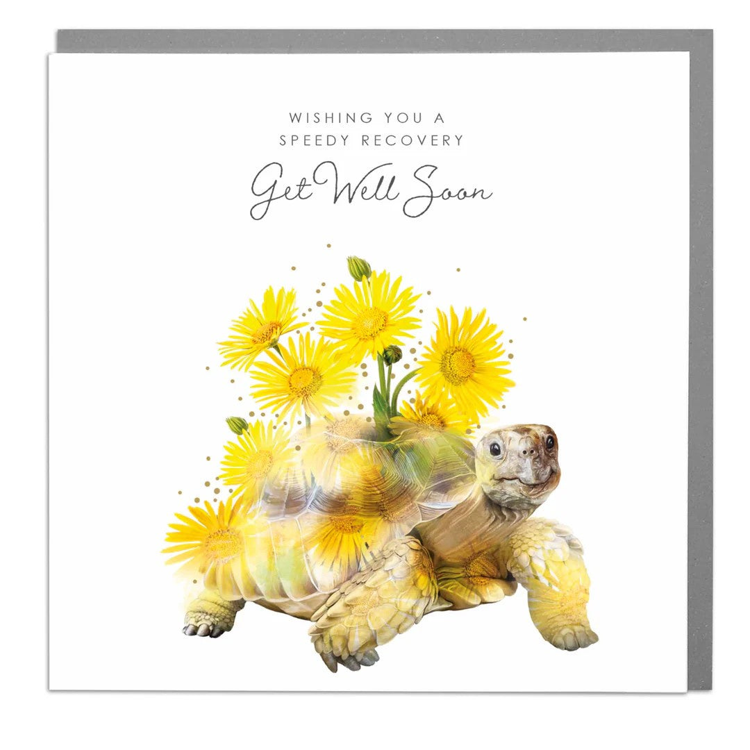 Get Well Card: Tortoise - Lola Design