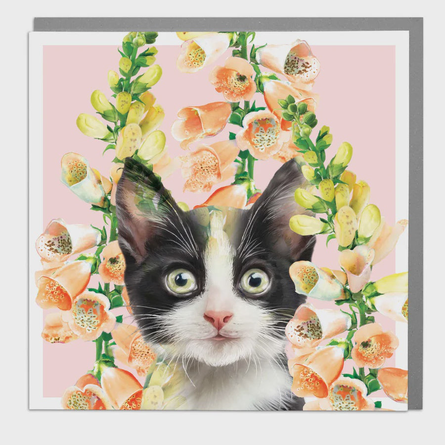 Card: Tuxedo Kitten - Lola Design