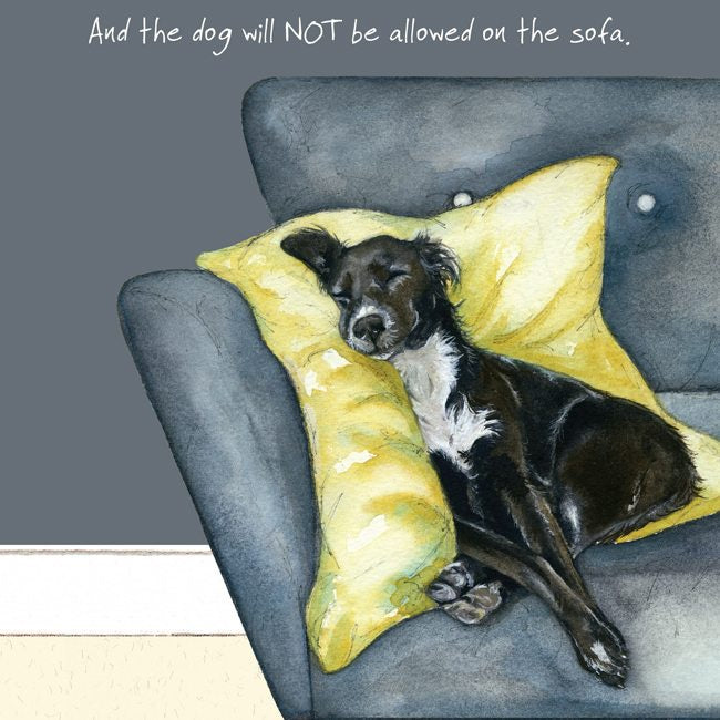 Card: Dog Will Not Be Allowed On The Sofa -The Little Dog